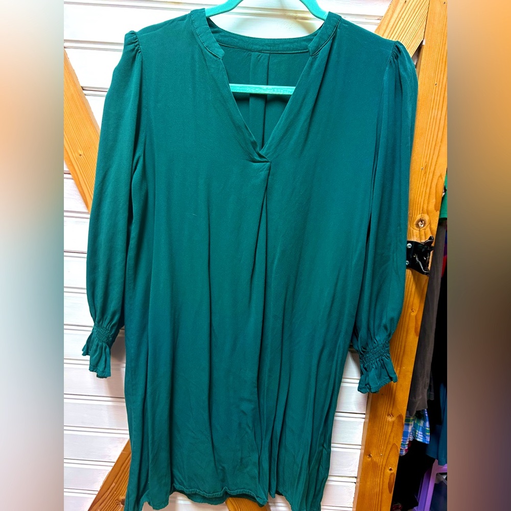 Forest Green, long sleeve mini dress.